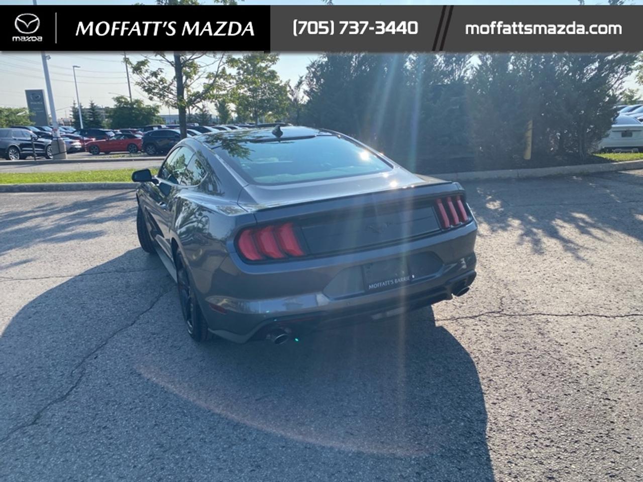 2021 Ford Mustang EcoBoost Photo