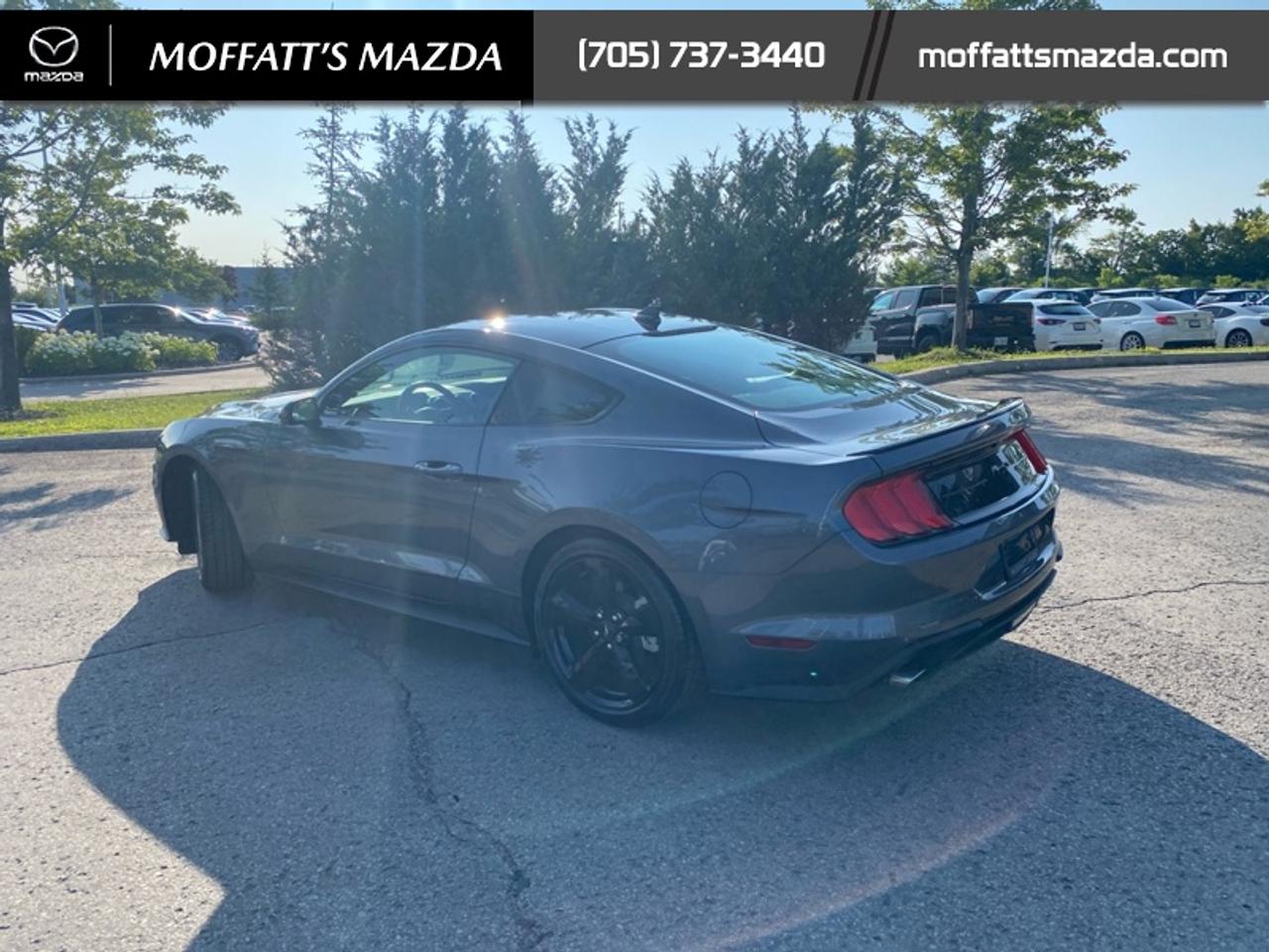 2021 Ford Mustang EcoBoost Photo3