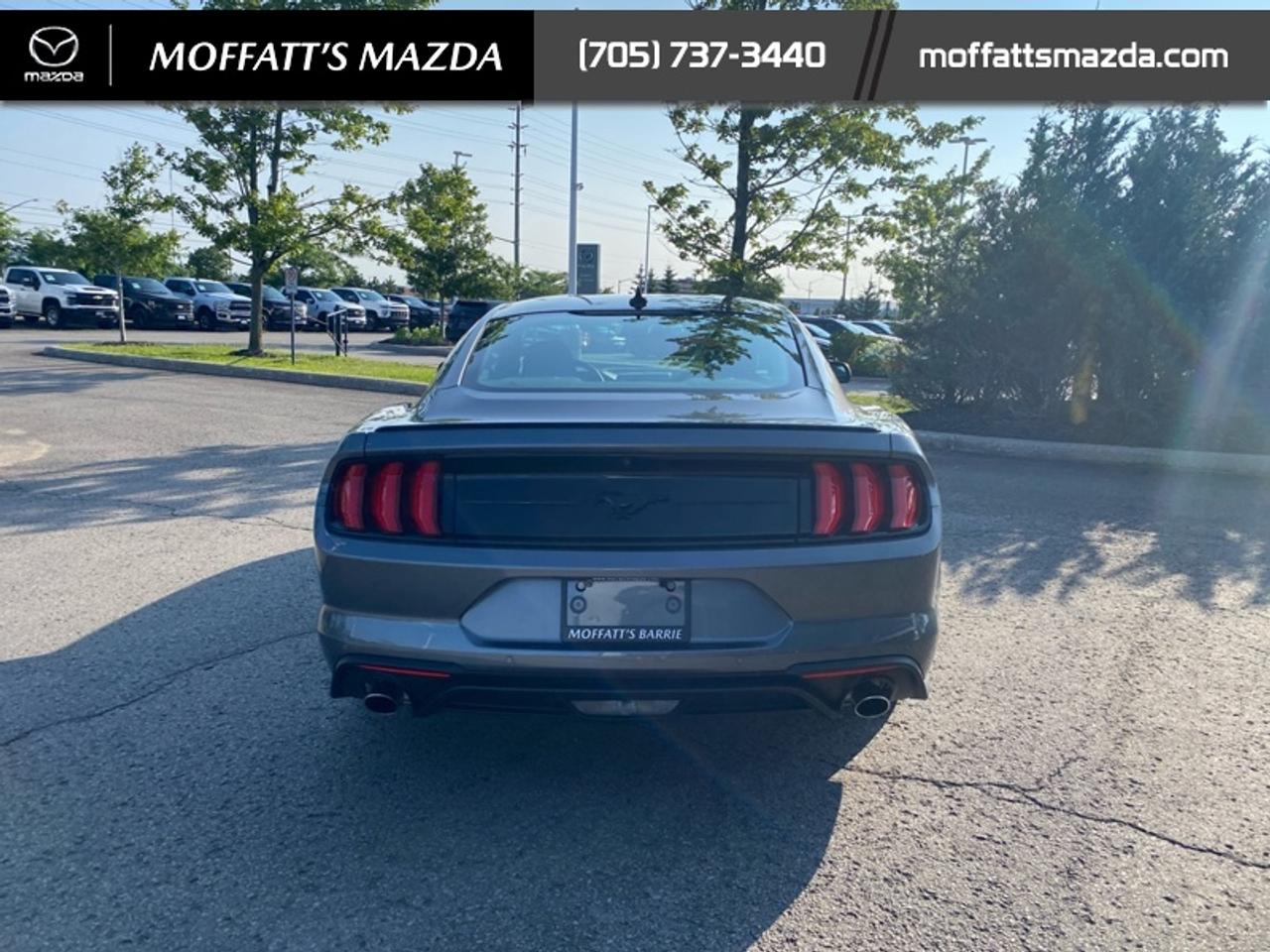 2021 Ford Mustang EcoBoost Photo