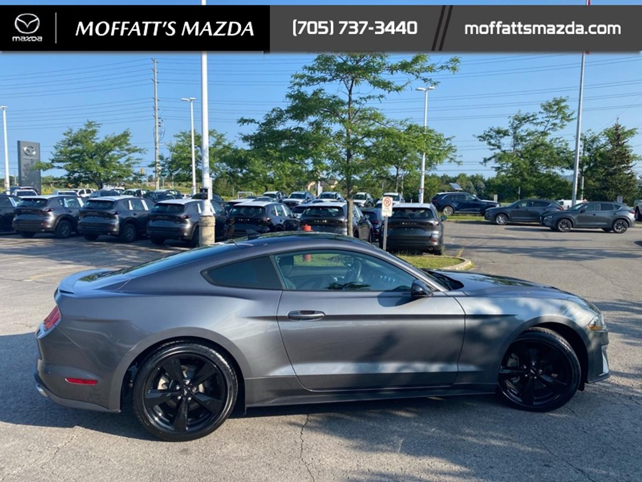 2021 Ford Mustang EcoBoost Photo