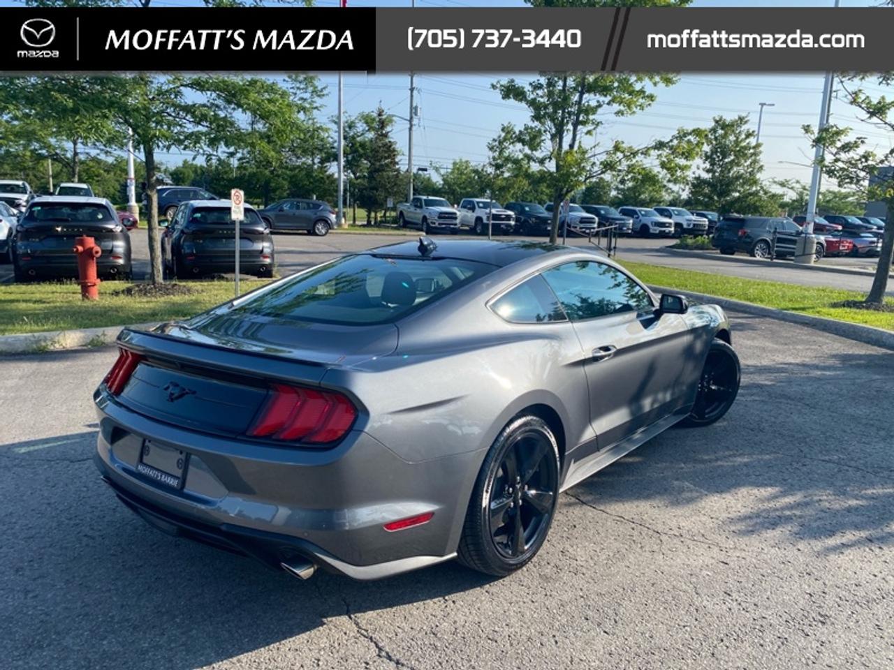 2021 Ford Mustang EcoBoost Photo