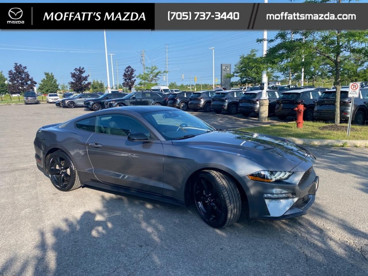 2021 Ford Mustang EcoBoost Photo