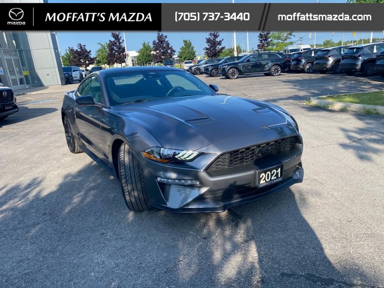 2021 Ford Mustang EcoBoost Photo