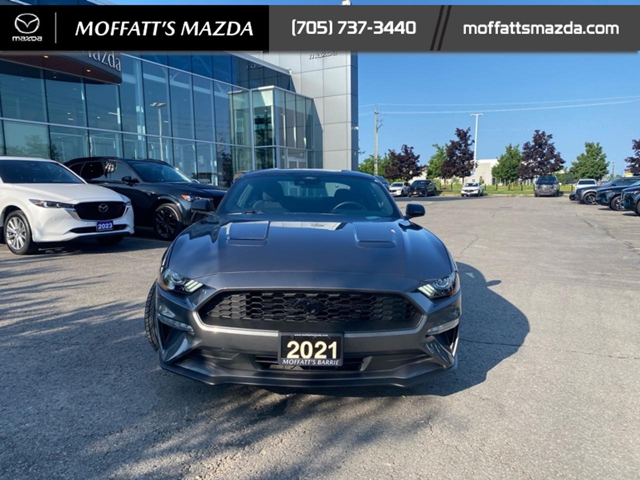 2021 Ford Mustang EcoBoost Photo