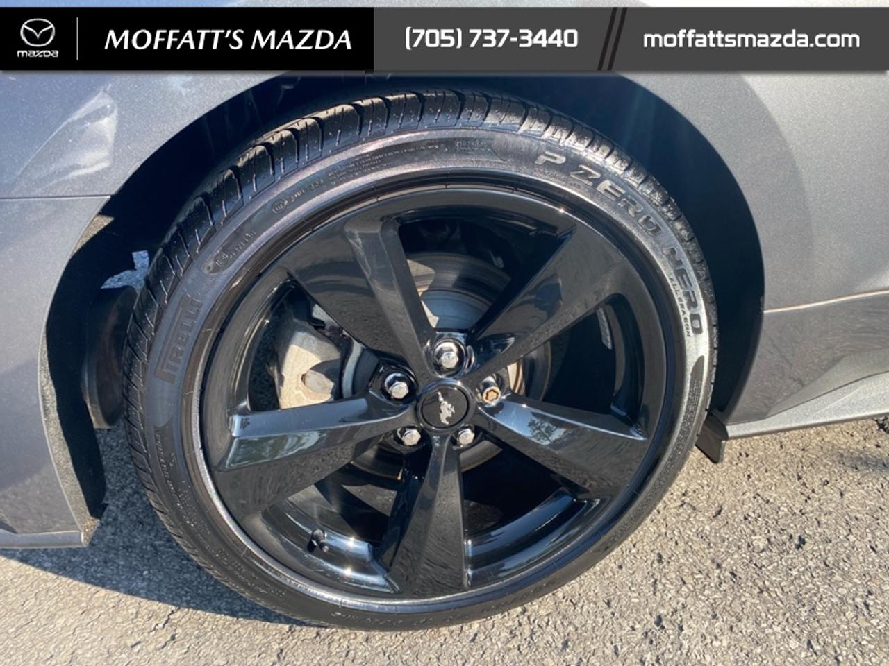 2021 Ford Mustang EcoBoost Photo