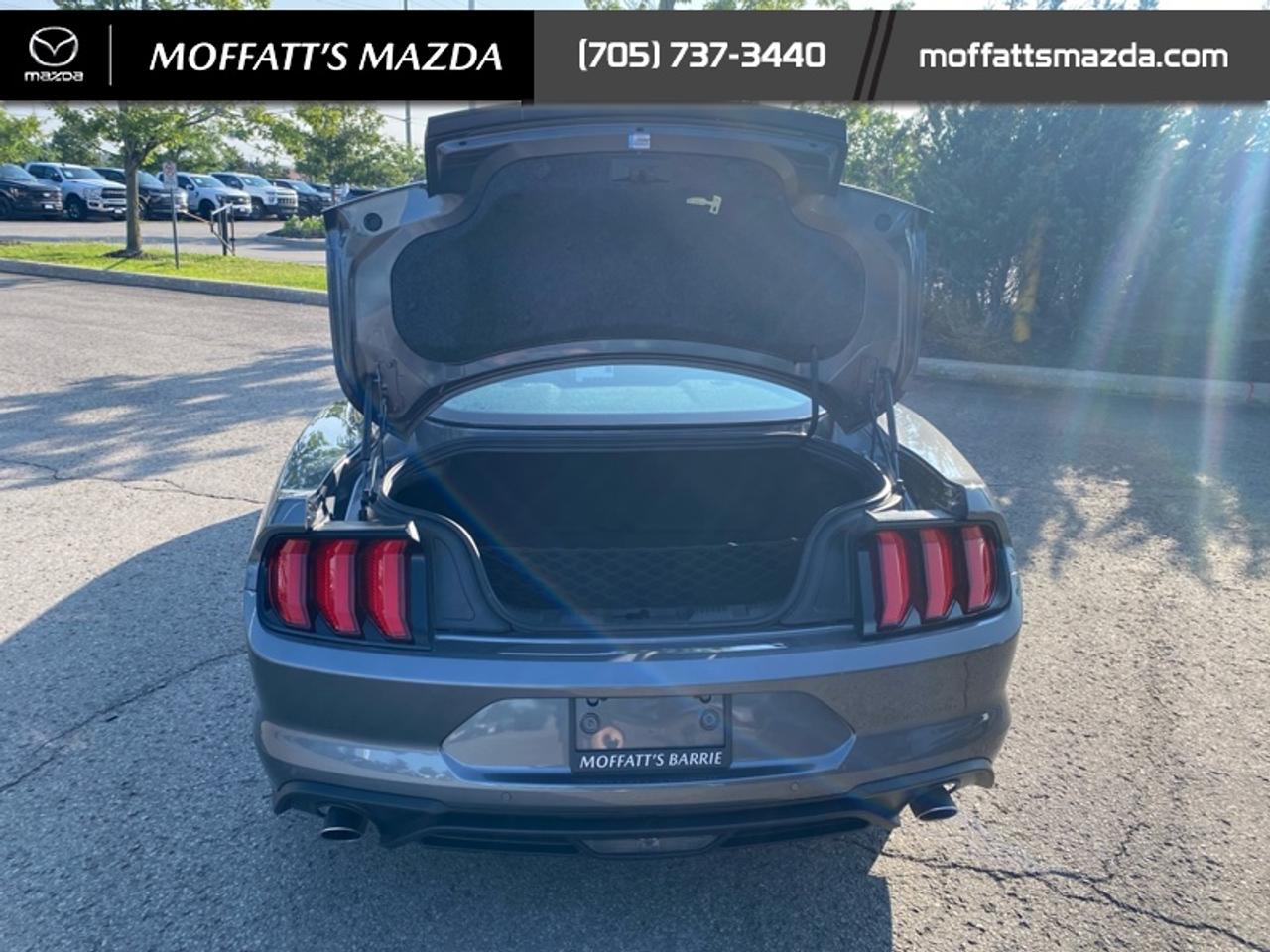 2021 Ford Mustang EcoBoost Photo