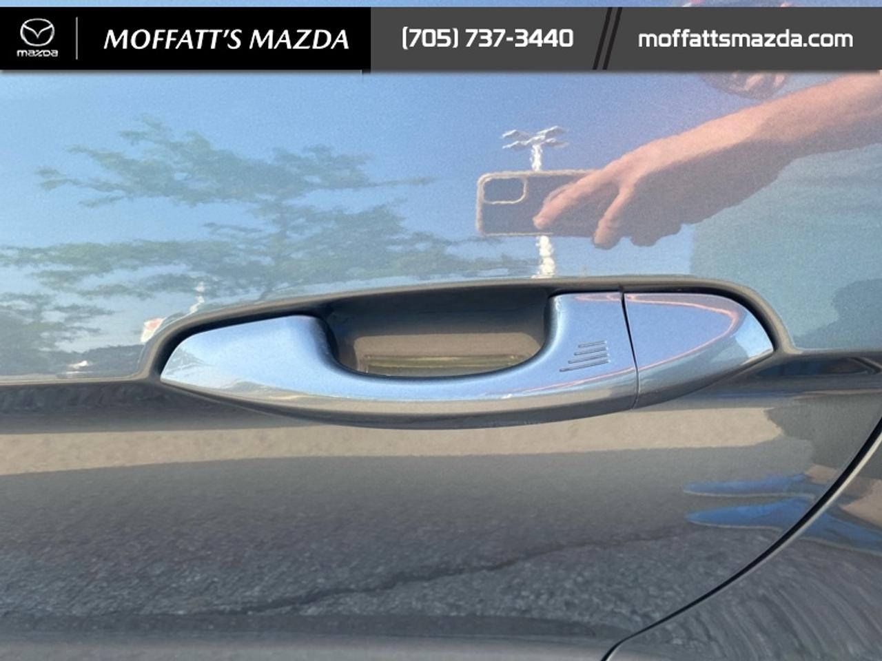 2021 Ford Mustang EcoBoost Photo