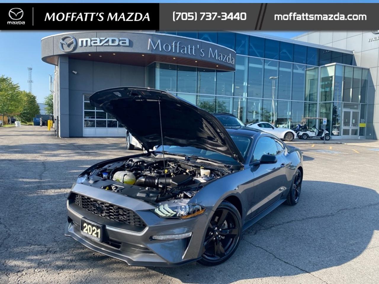 2021 Ford Mustang EcoBoost Photo