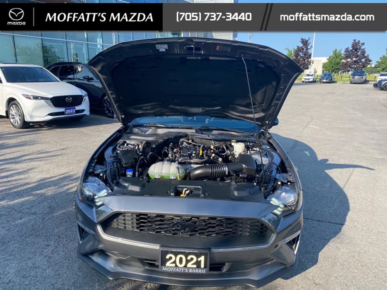 2021 Ford Mustang EcoBoost Photo
