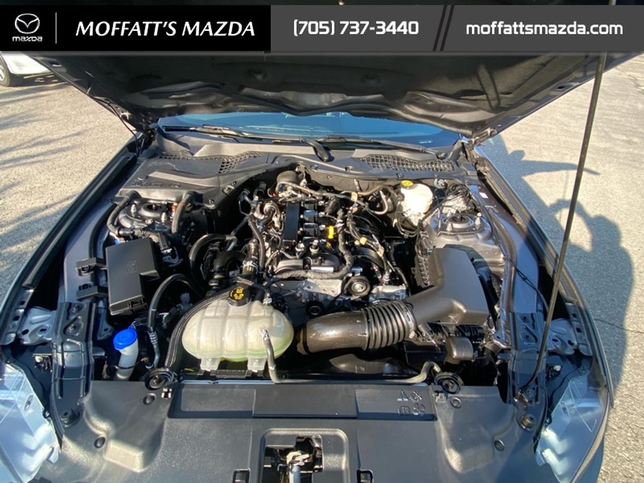 2021 Ford Mustang EcoBoost Photo