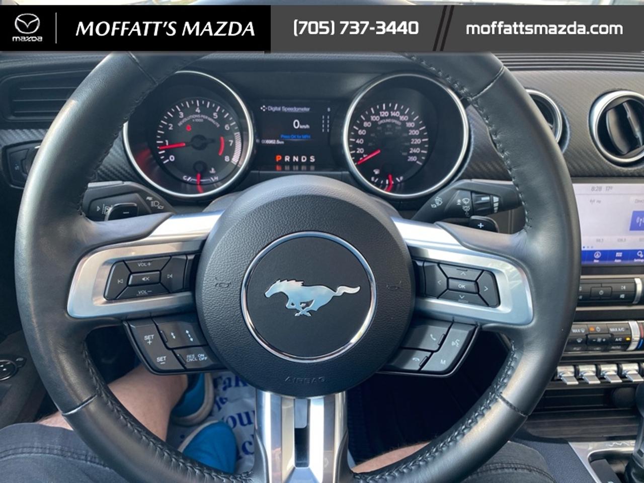 2021 Ford Mustang EcoBoost Photo