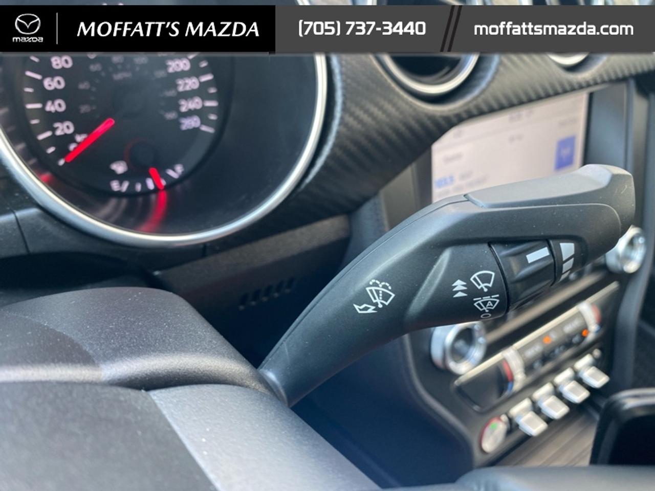 2021 Ford Mustang EcoBoost Photo