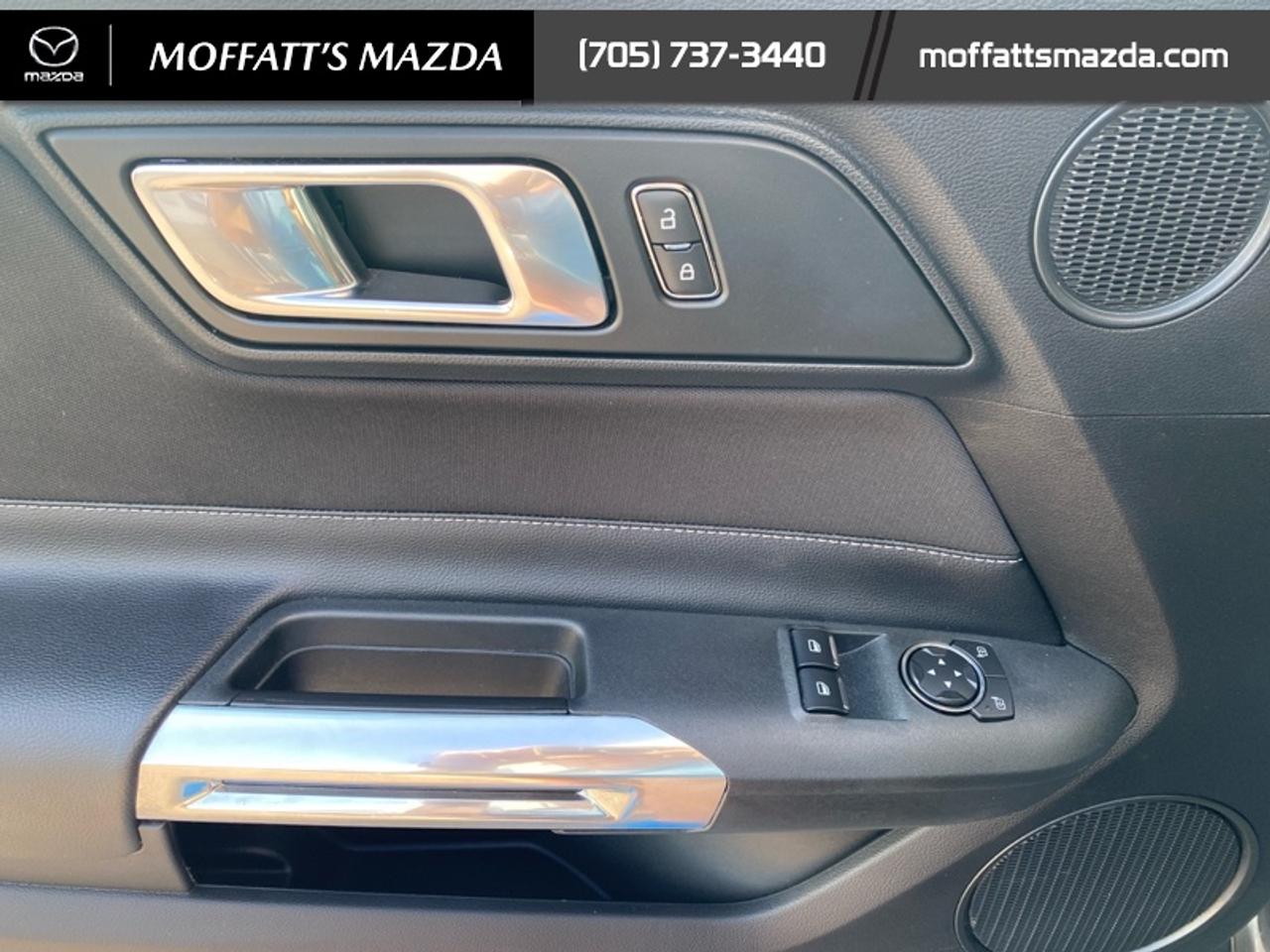 2021 Ford Mustang EcoBoost Photo