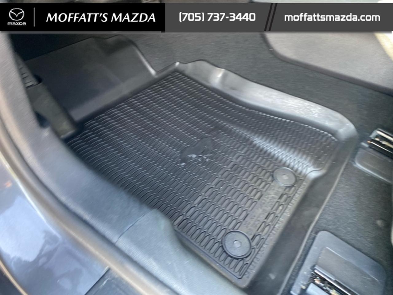 2021 Ford Mustang EcoBoost Photo