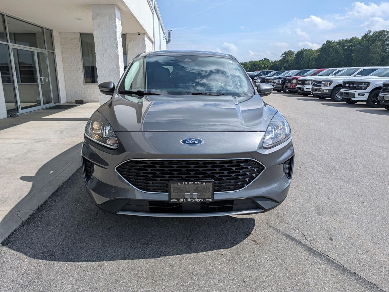 2021 Ford Escape SE AWD Photo1