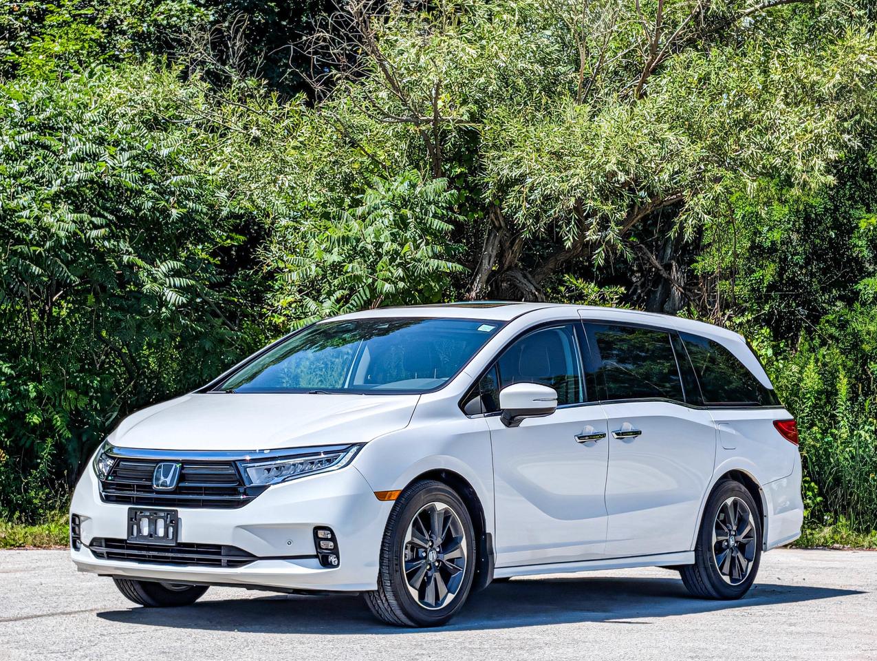 2024 Honda Odyssey Touring Photo