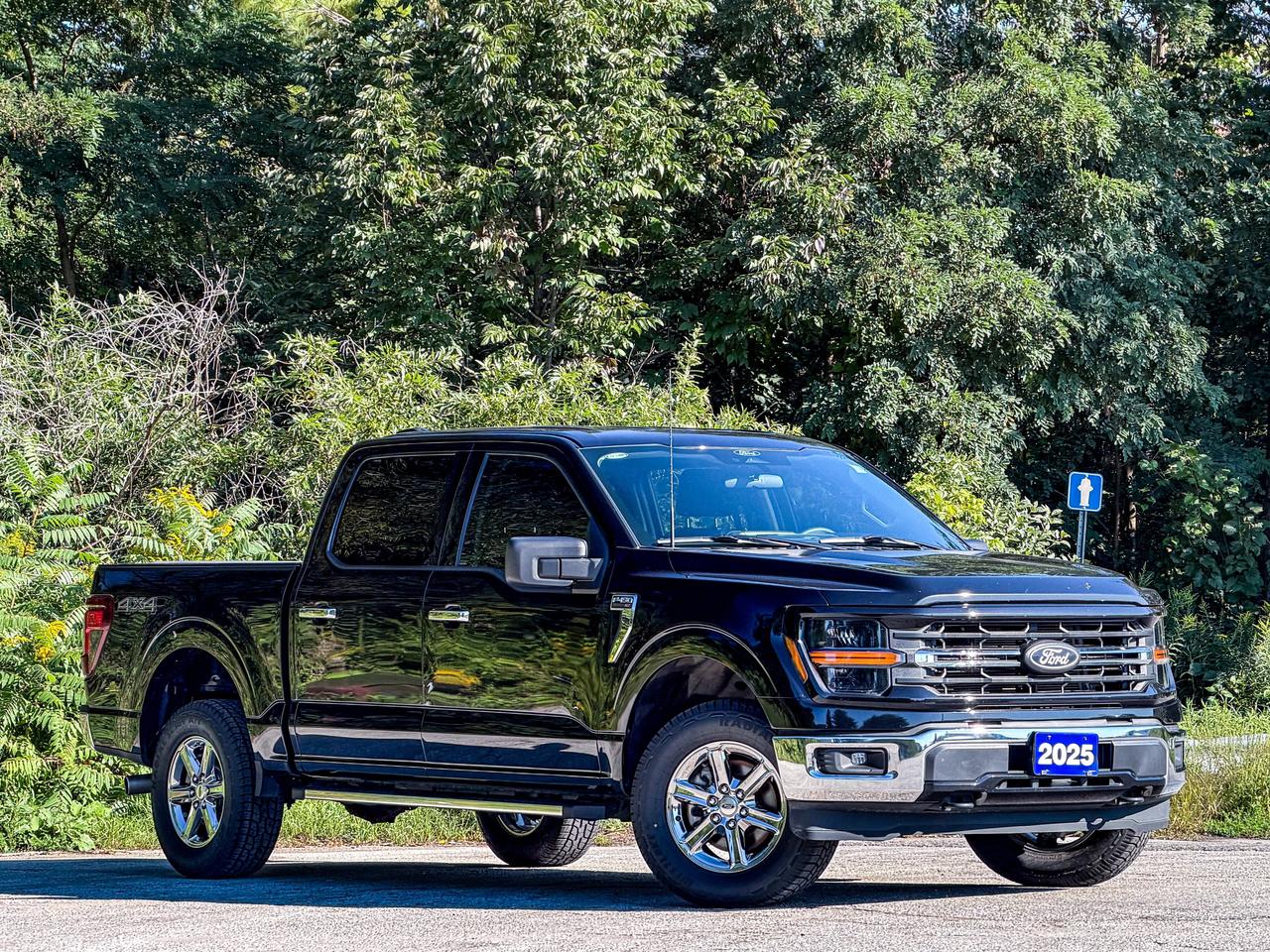 2025 Ford F-150 XLT Photo5