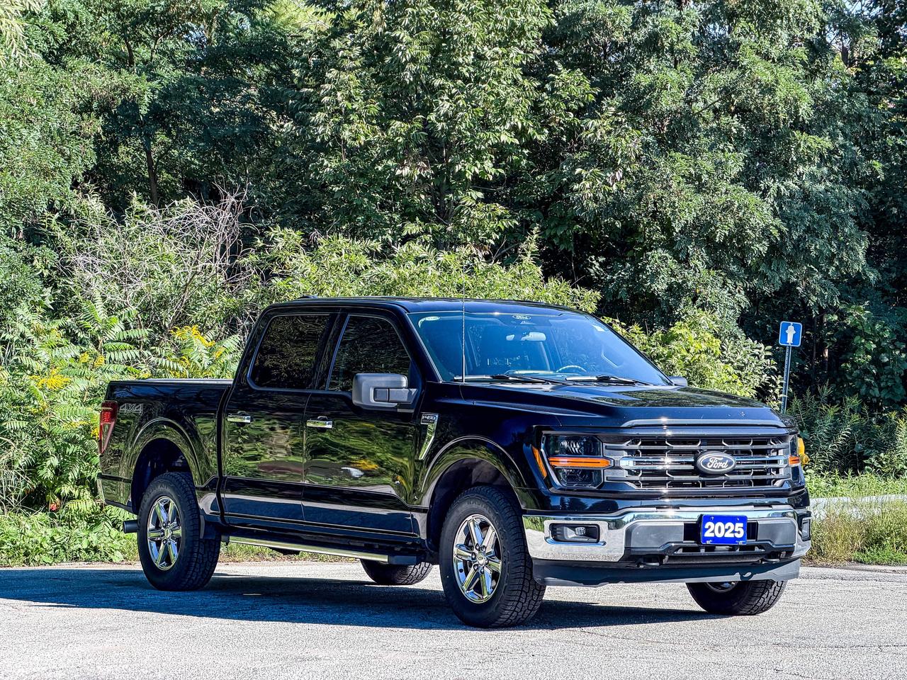 2025 Ford F-150 XLT Photo