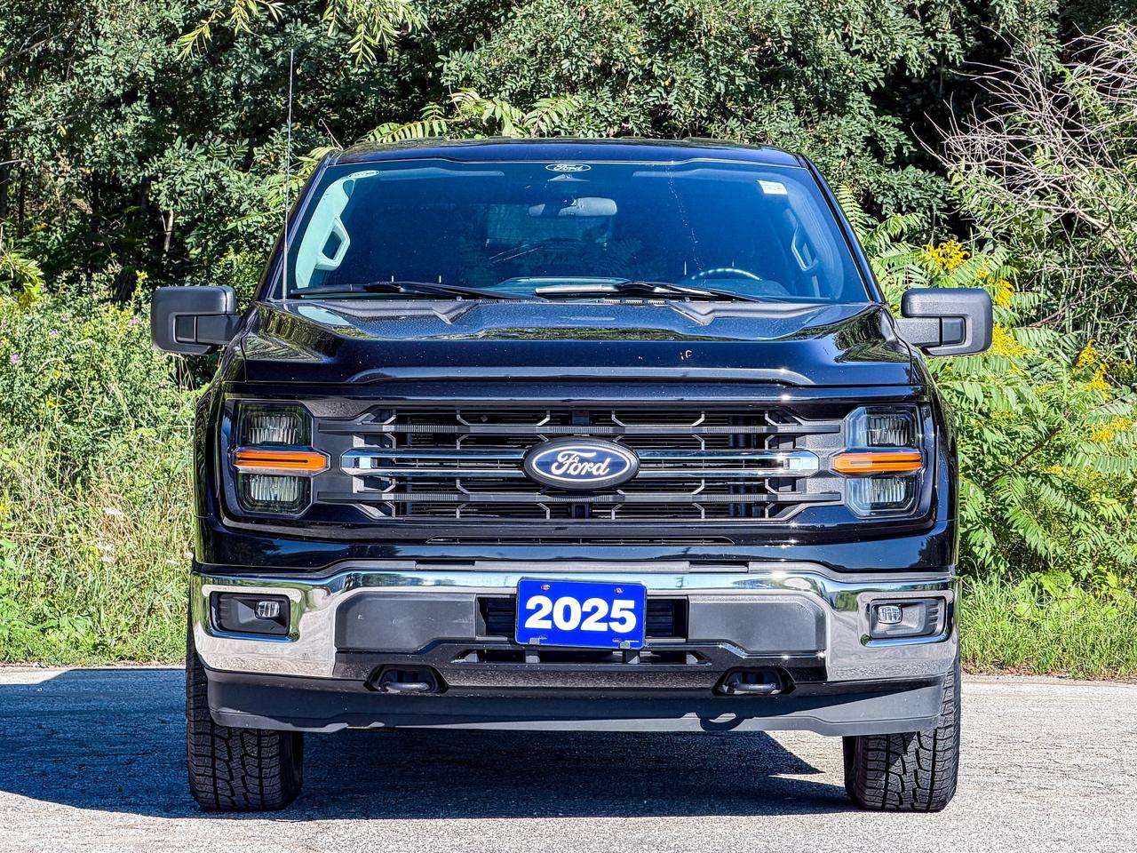 2025 Ford F-150 XLT Photo