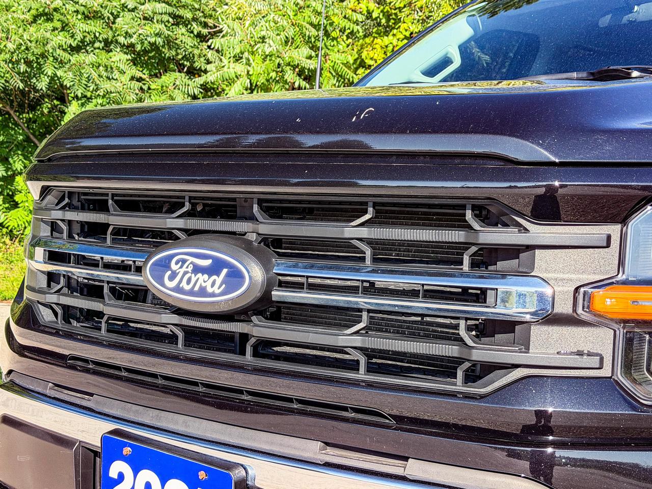 2025 Ford F-150 XLT Photo