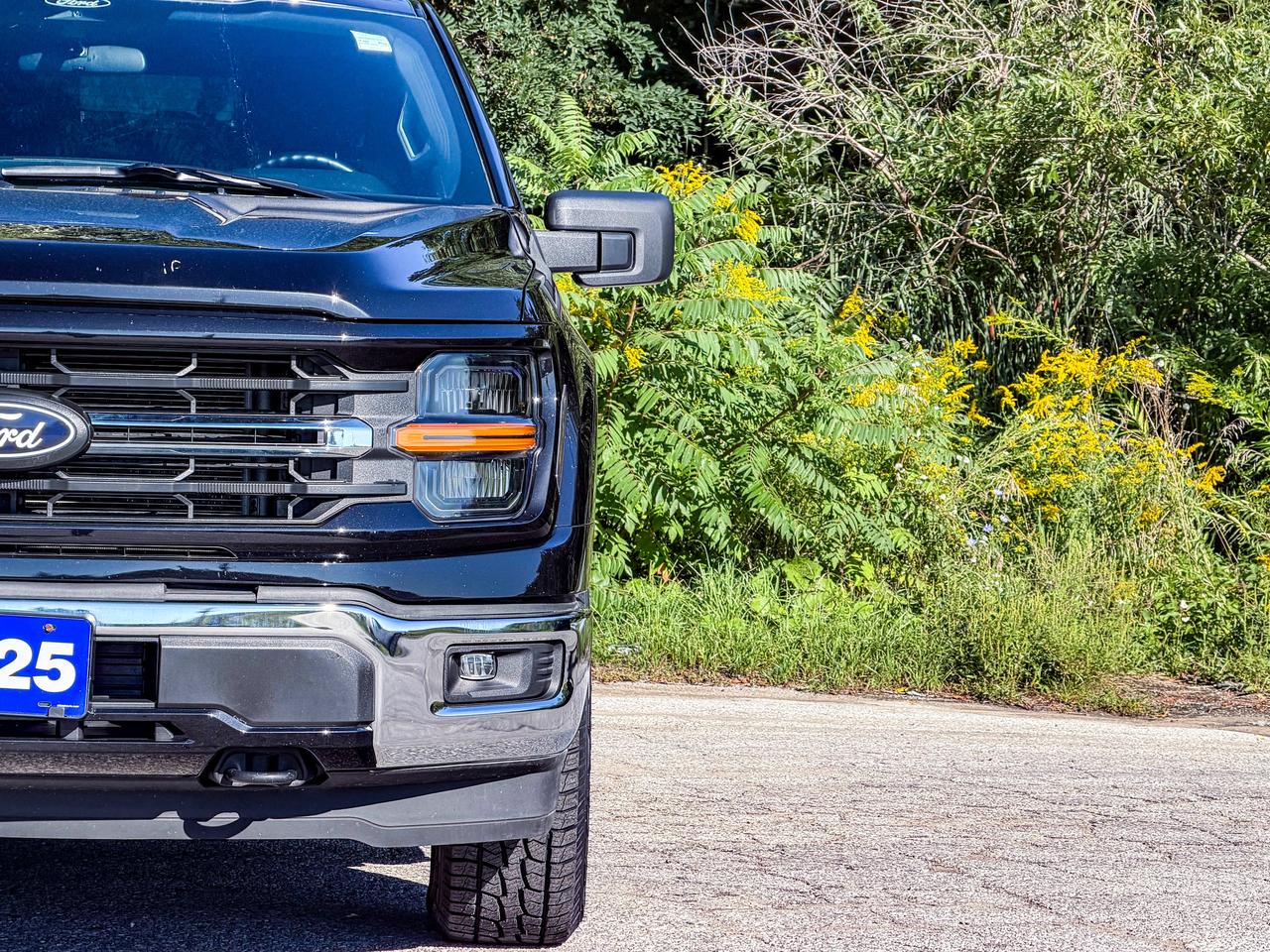2025 Ford F-150 XLT Photo