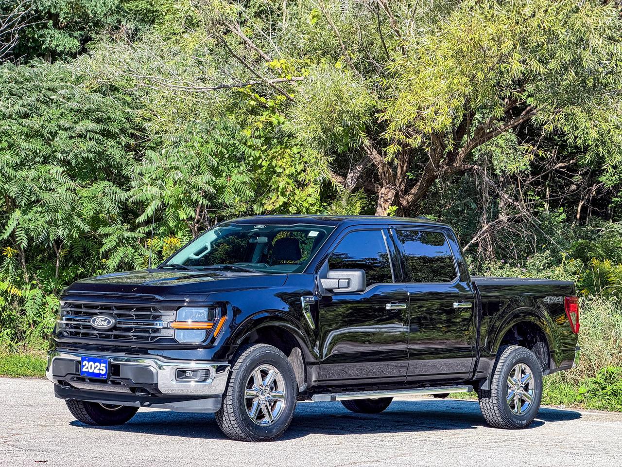 2025 Ford F-150 XLT Photo