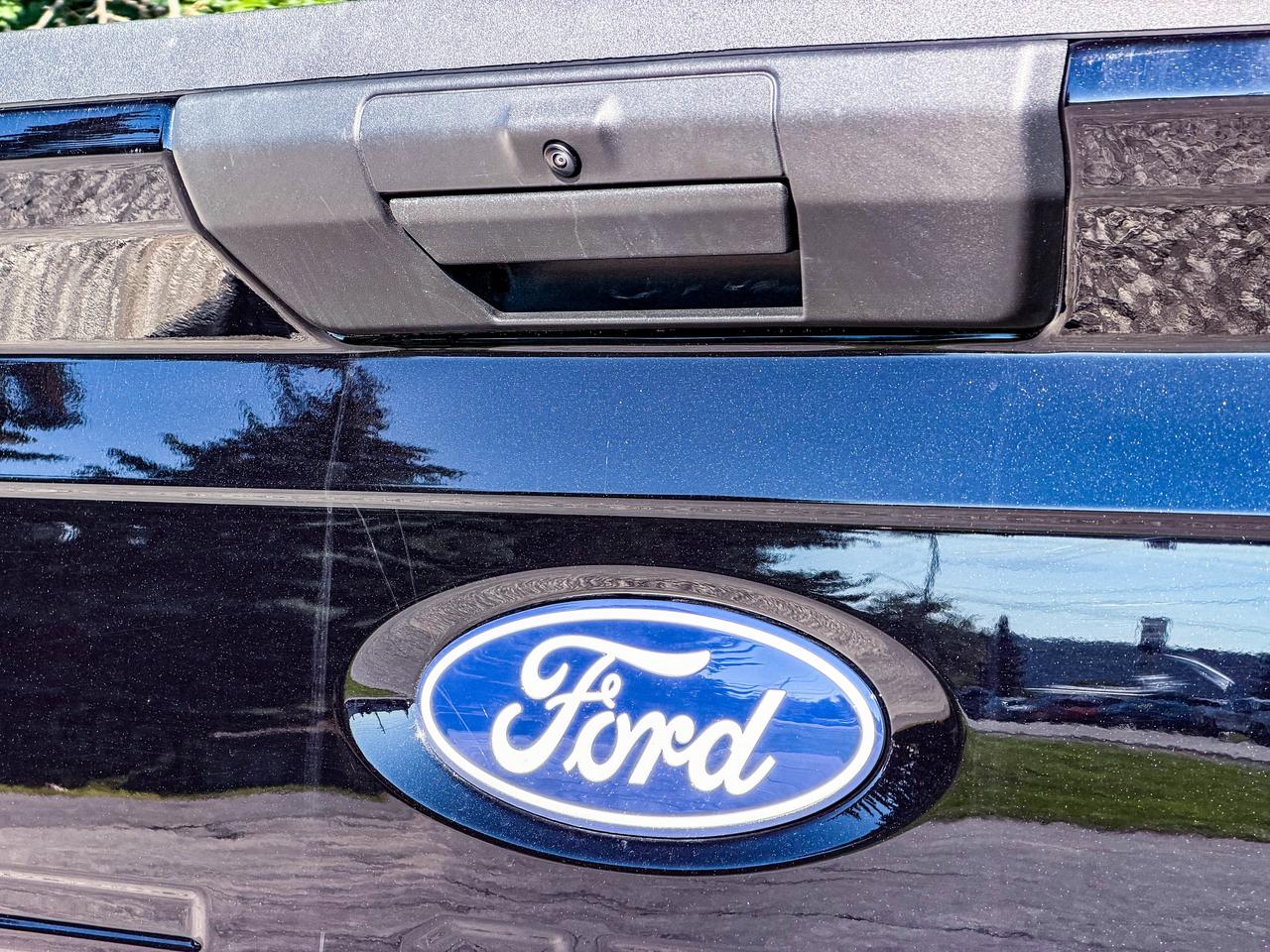 2025 Ford F-150 XLT Photo