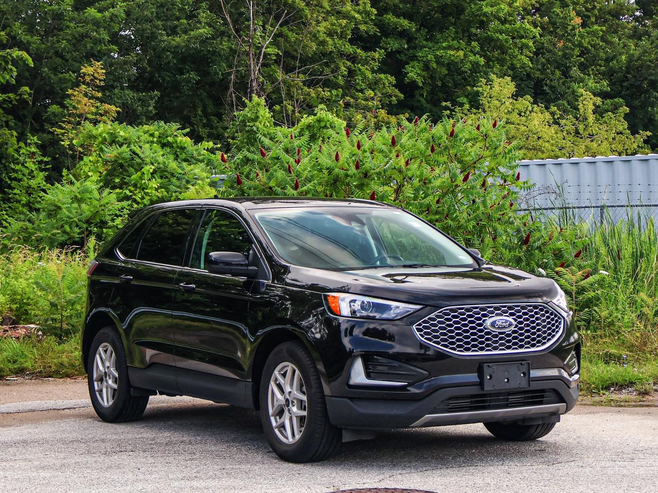 2024 Ford Edge SEL Photo
