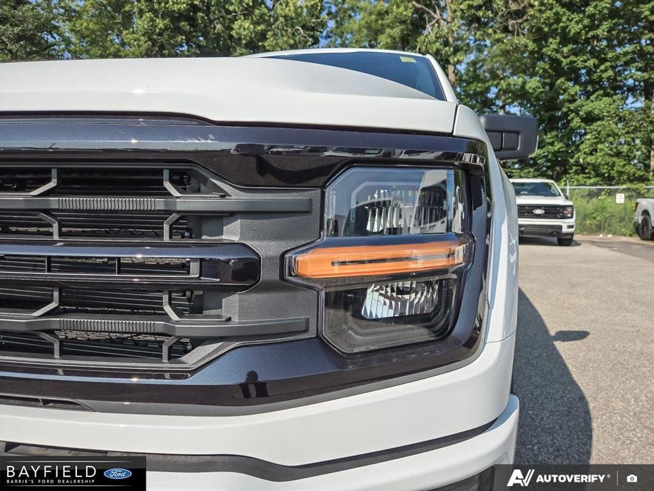 2026 Ford F-150 XLT 4WD SuperCrew 6.5' Box Photo