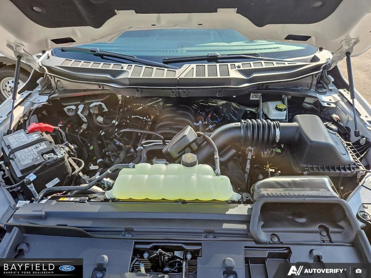 2026 Ford F-150 XLT 4WD SuperCrew 6.5' Box Photo