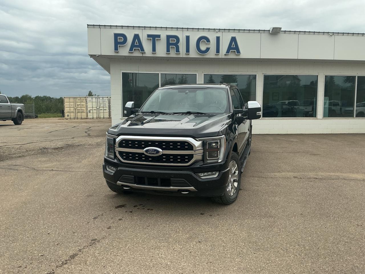 Used 2021 Ford F-150 Platinum for sale in Manning, AB