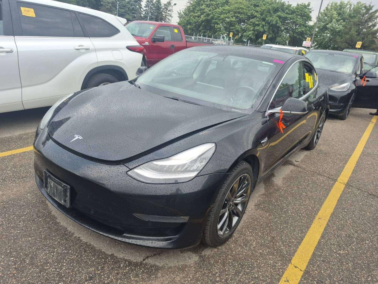 2019 Tesla Model 3 Long Range AWD Photo