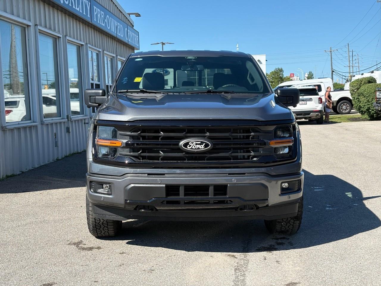 2026 Ford F-150 XLT 4WD SuperCrew 5.5' Box Photo3
