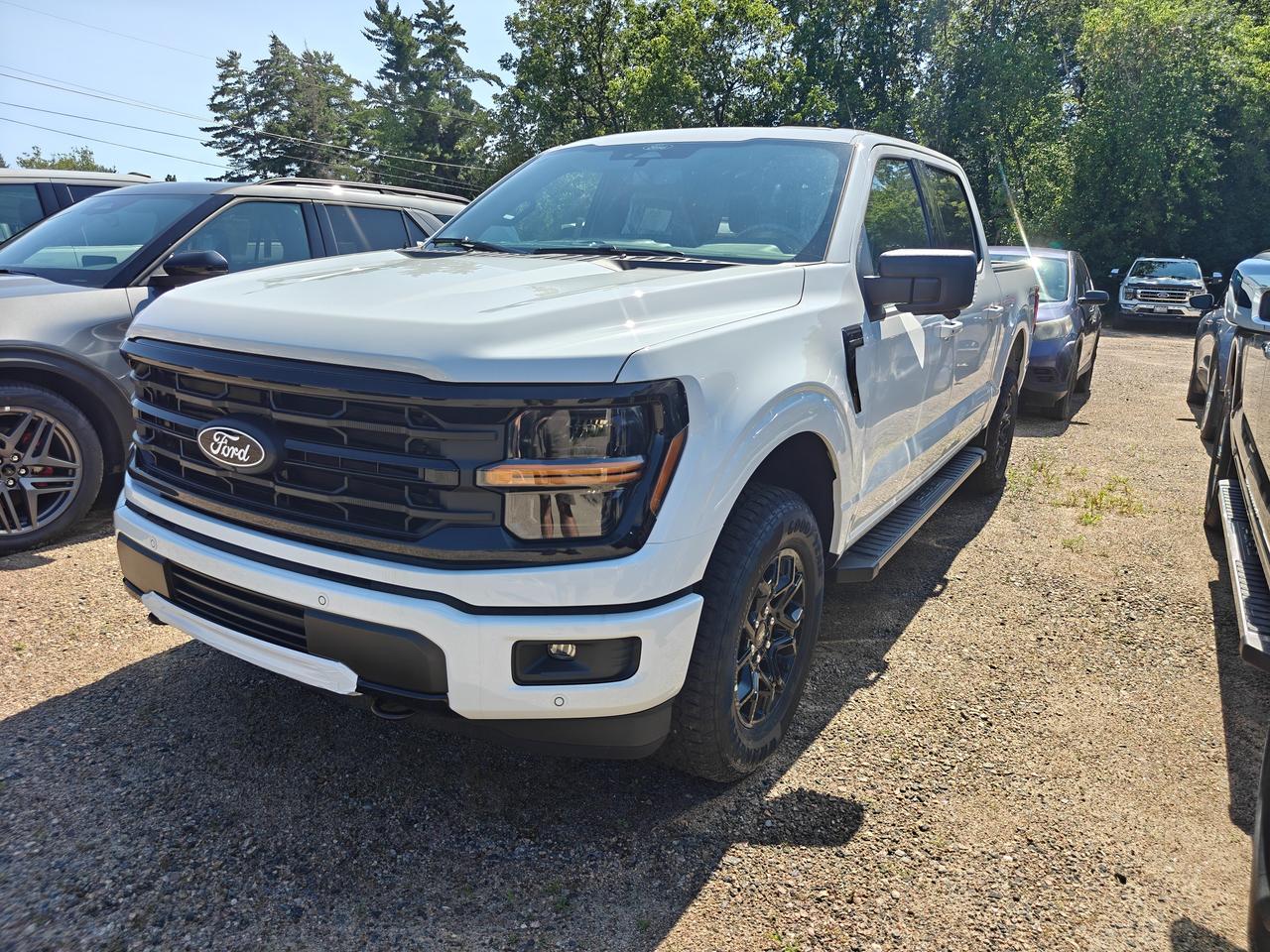 2026 Ford F-150 4X4 SUPERCREW XLT 5.0L 302A Photo0