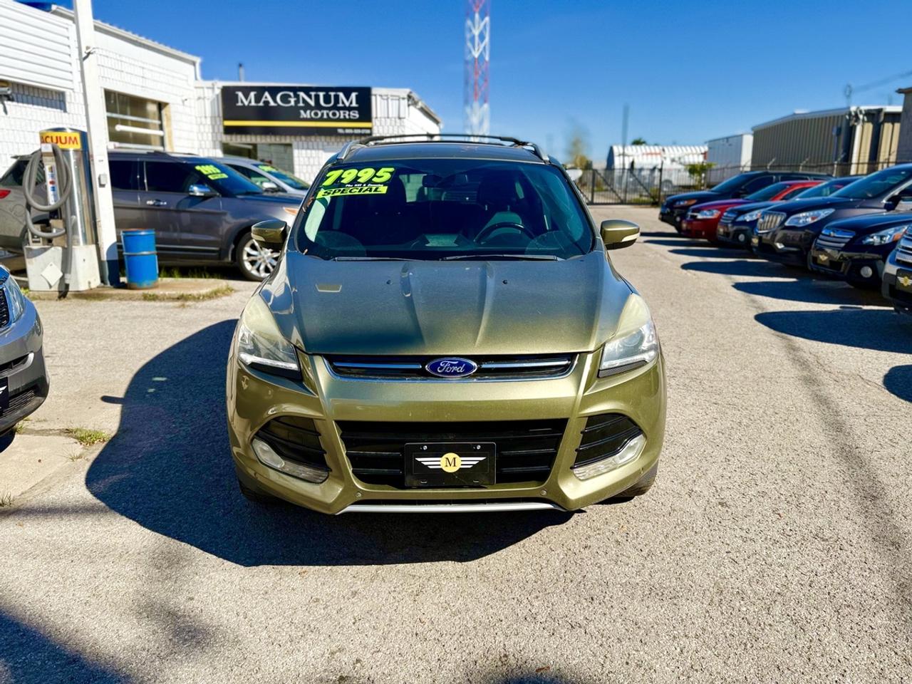 2014 Ford Escape Titanium - NO ACCIDENTS - RARE COLOR! Photo