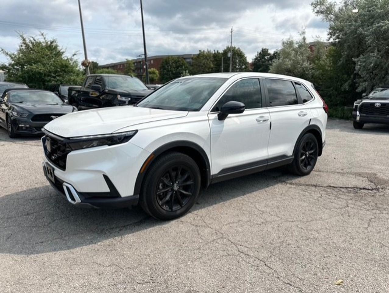 2024 Honda CR-V Hybrid EX L Photo