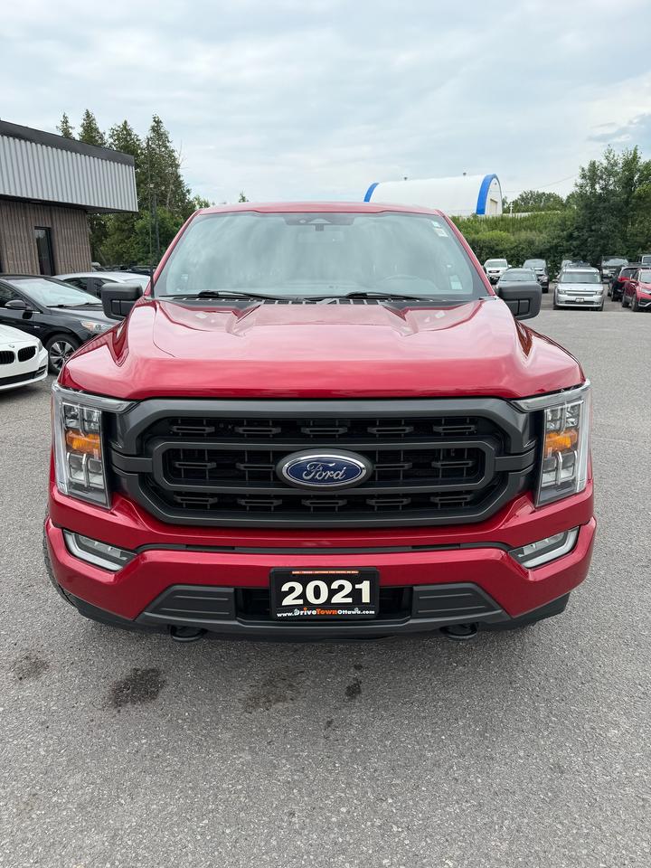 2021 Ford F-150 XLT Photo