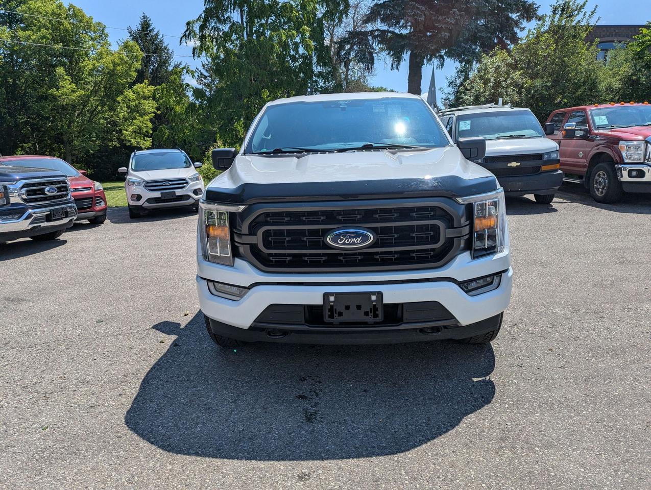 2021 Ford F-150 XLT 4WD SuperCrew 6.5' Box Photo1