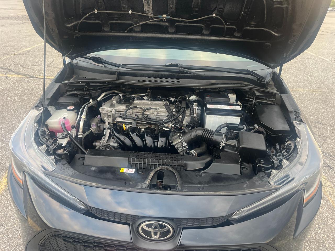 2020 Toyota Corolla LE CVT Photo