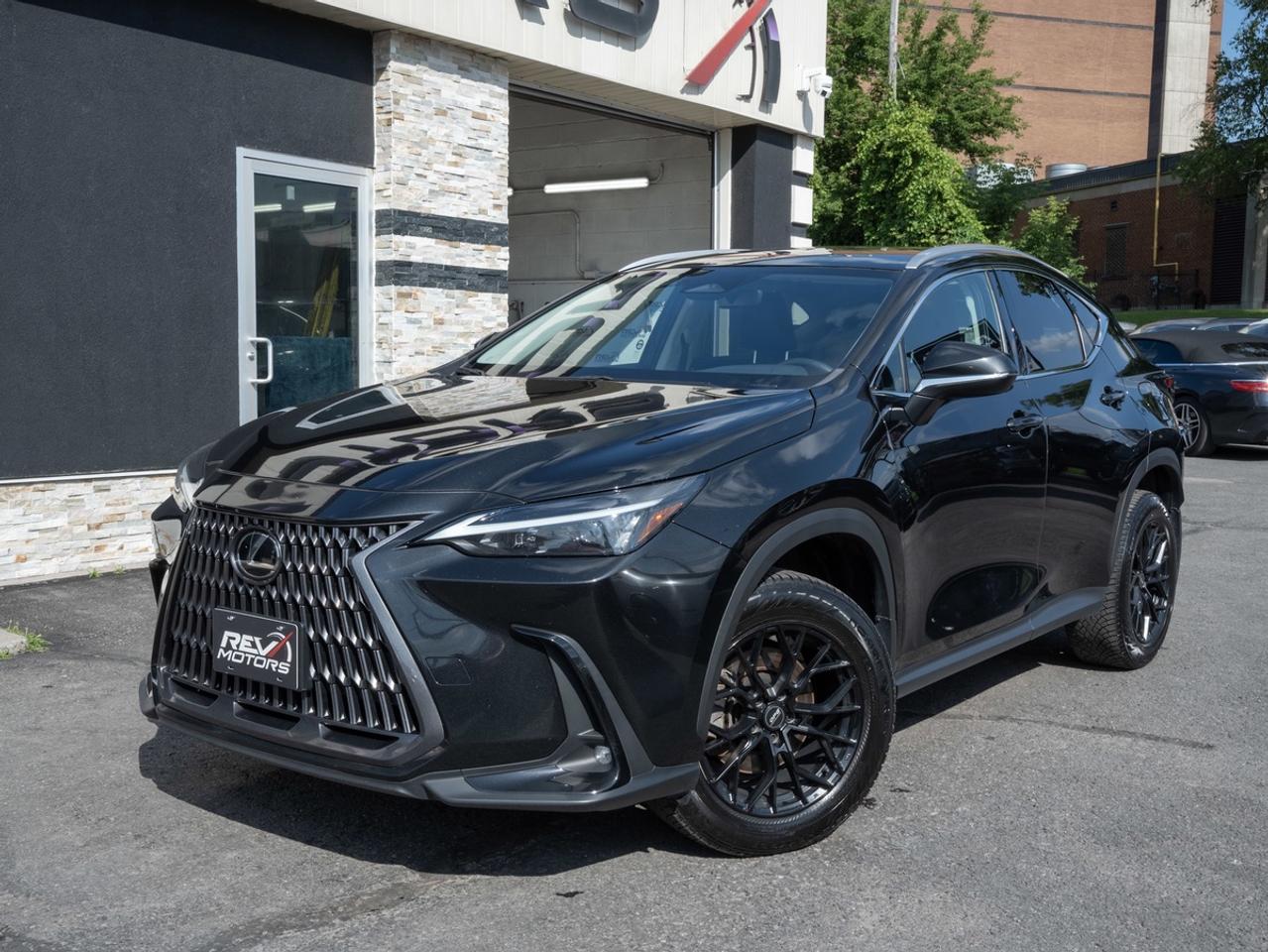 2024 Lexus NX 250 | AWD | Certified | No Accidents Photo