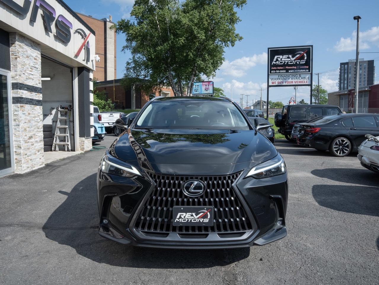 2024 Lexus NX 250 | AWD | Certified | No Accidents Photo