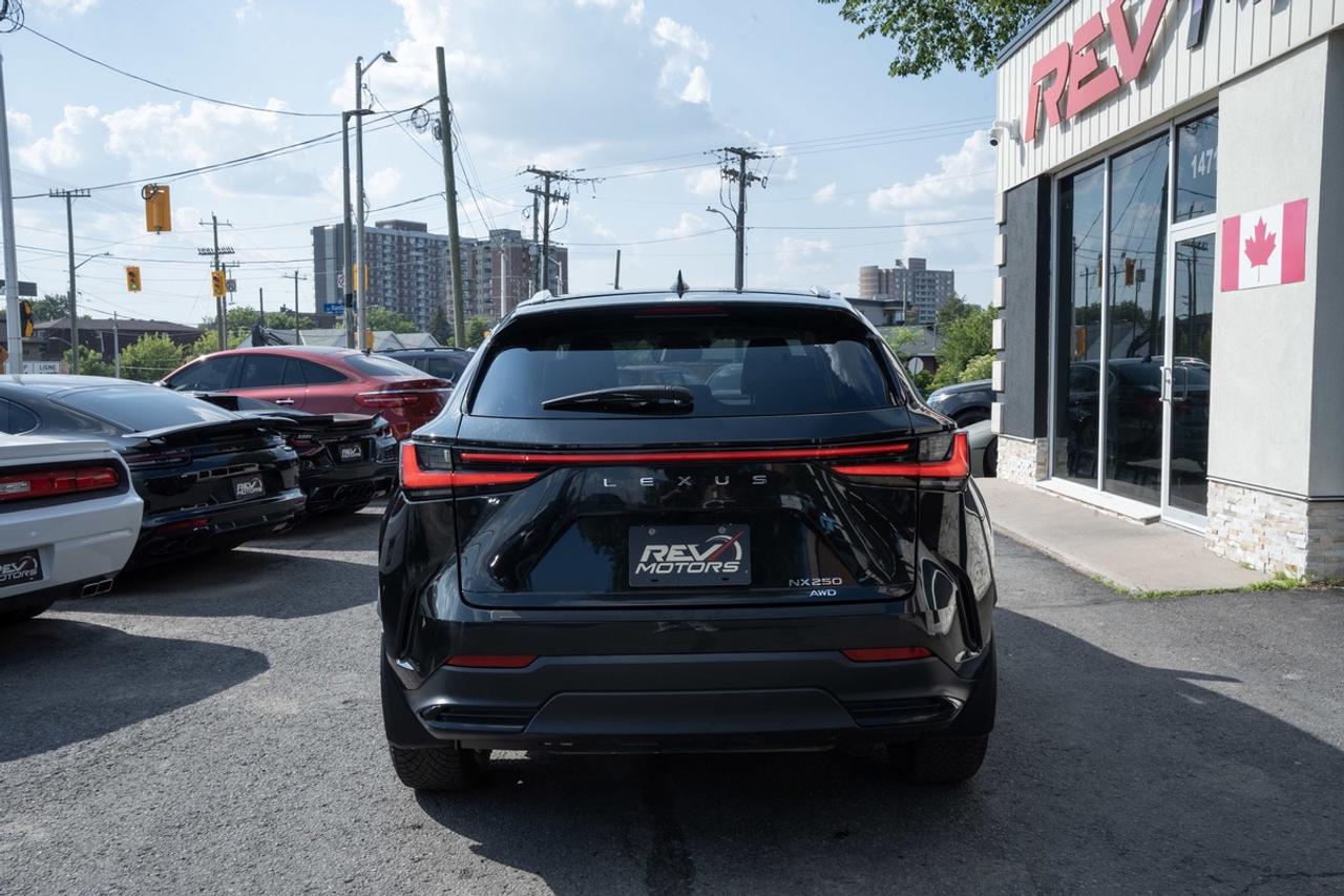 2024 Lexus NX 250 | AWD | Certified | No Accidents Photo