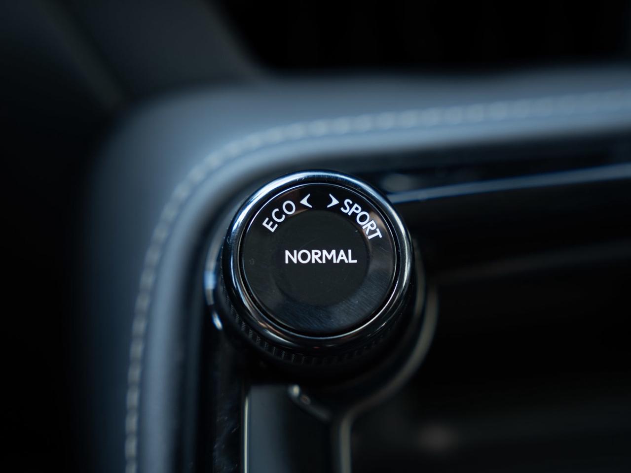 2024 Lexus NX 250 | AWD | Certified | No Accidents Photo
