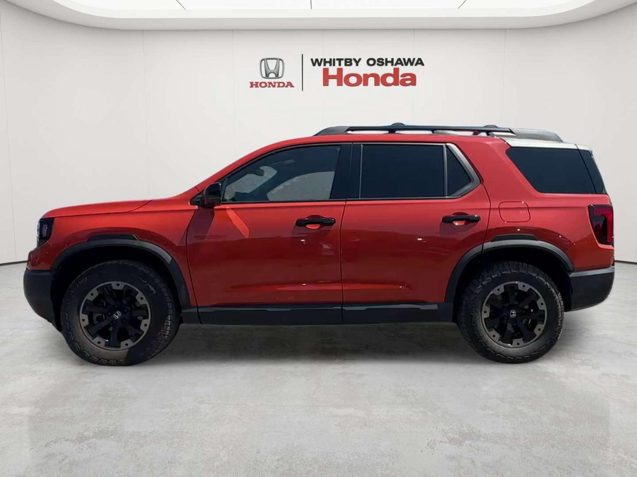 2026 Honda Passport TRAILSPORT Photo
