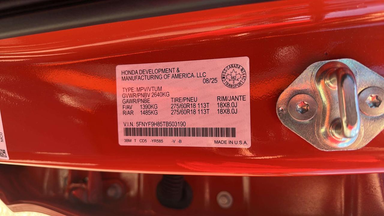 2026 Honda Passport TRAILSPORT Photo