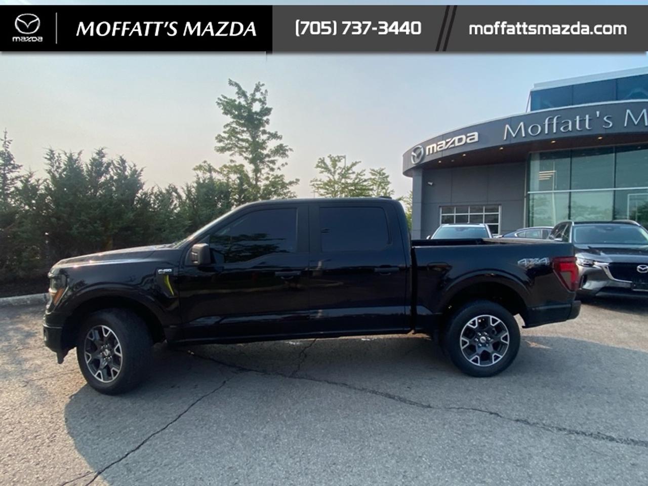 2024 Ford F-150 STX Photo2