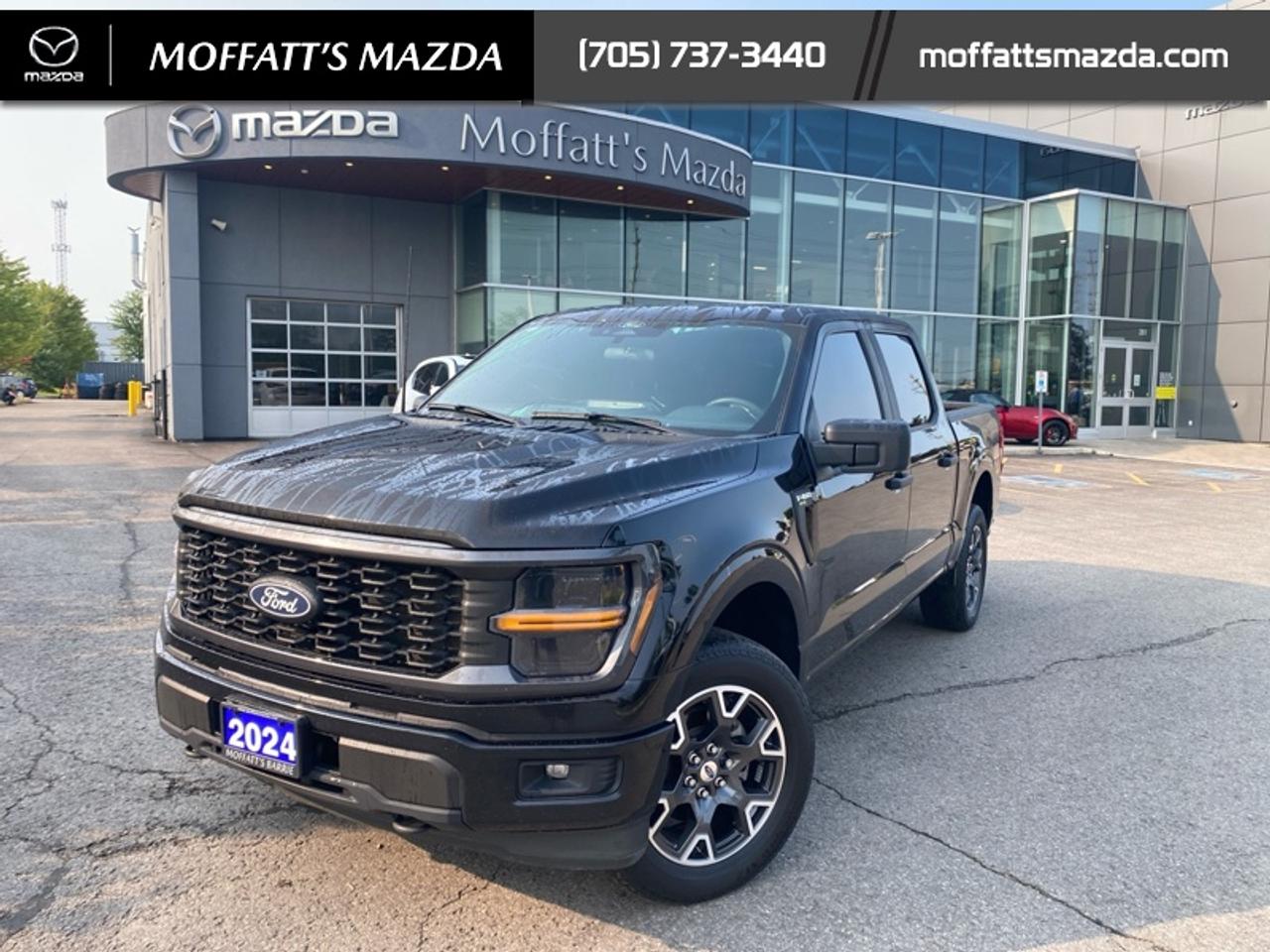 2024 Ford F-150 STX Photo
