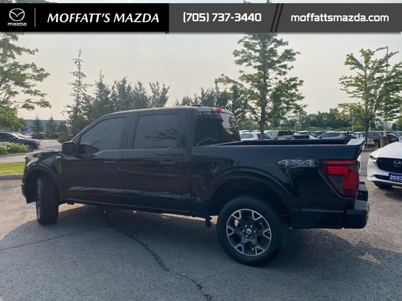2024 Ford F-150 STX Photo