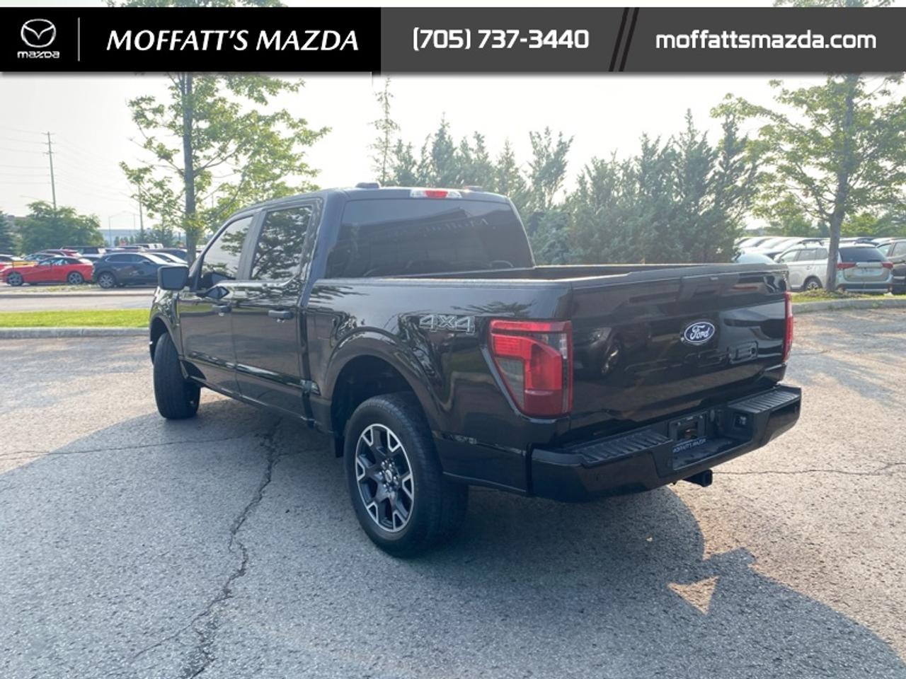 2024 Ford F-150 STX Photo4