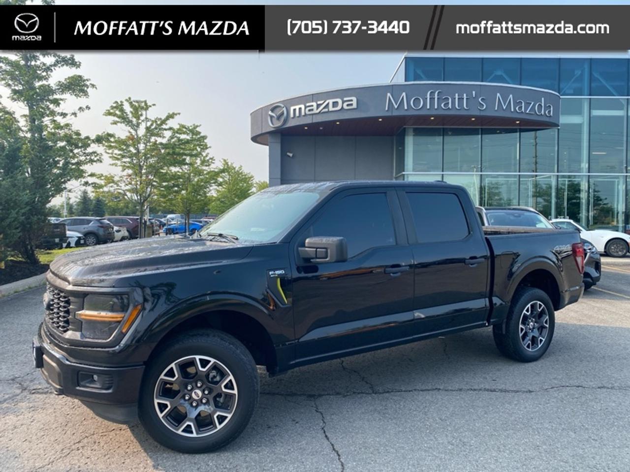 2024 Ford F-150 STX Photo1